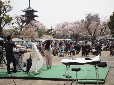 池上本門寺 春まつり